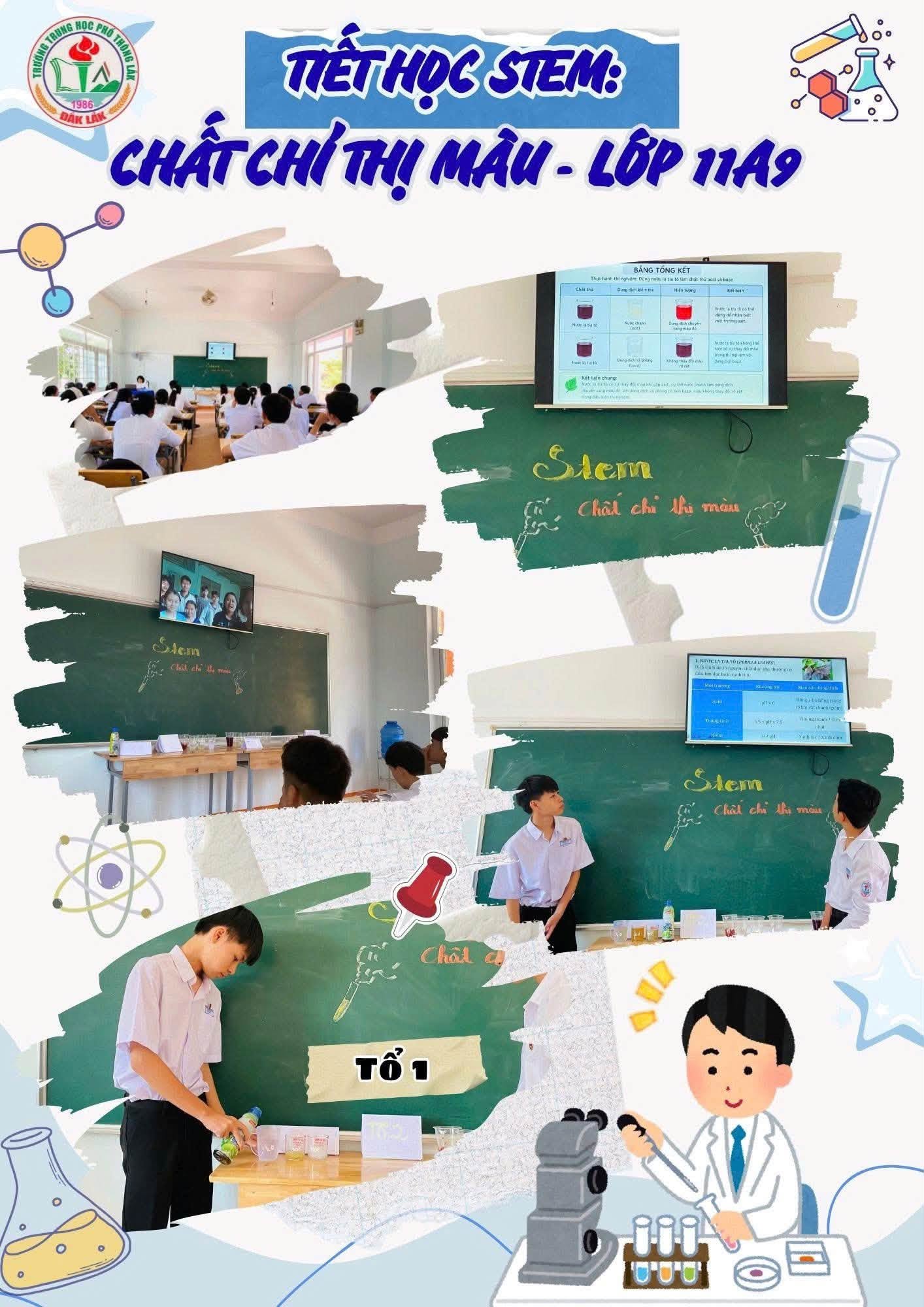 STEM KHỐI 11 – CHẤT CHỈ THỊ MÀU TỰ NHIÊN
