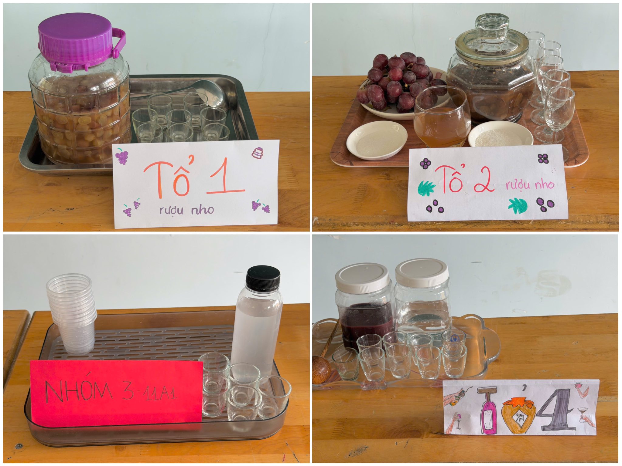 DẠY HỌC STEM – ĐIỀU CHẾ ALCOHOl ỨNG DỤNG TRONG SẢN XUẤT RƯỢU