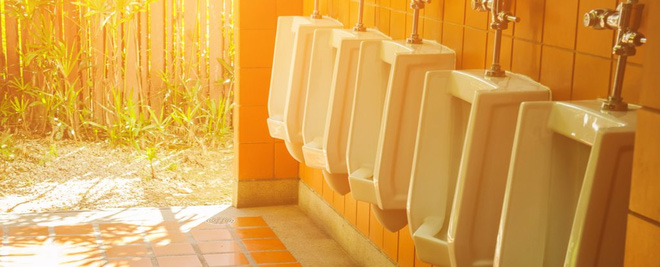 Dùng nước tiểu tạo ra điện: nhất cử lưỡng tiện