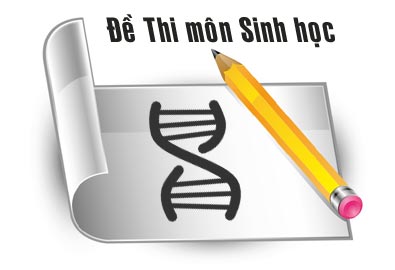 Điểm kiểm tra giữa HKI năm 2022-2023 môn Sinh học 12
